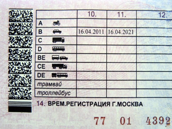 В России могут изменить вид водительских прав