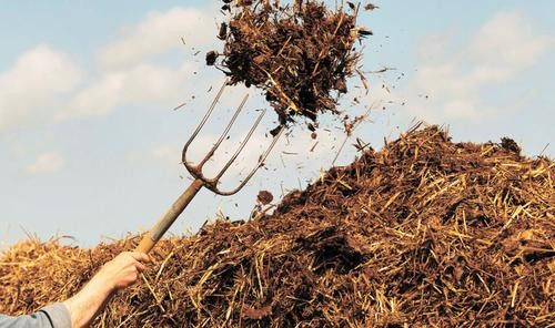 В России учредили «Консорциум производителей органических удобрений»