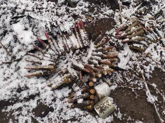 В ДНР расстреляли семью из восьми человек