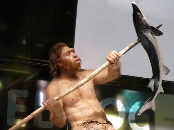 Археологи опровергли один из главных мифов о неандертальцах