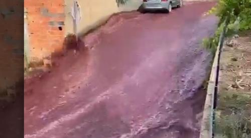 Бурлящий поток красного вина затопил улицы города в Португалии