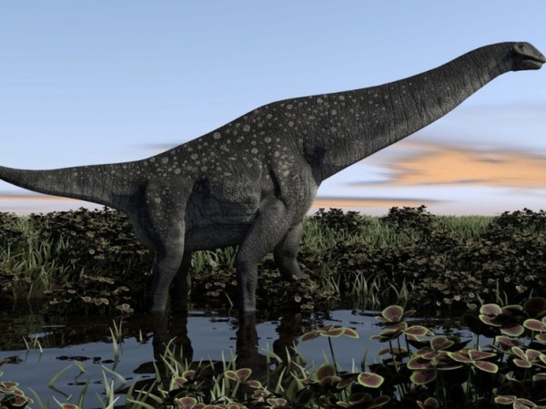 Найден нетронутый скелет уникального гигантского динозавра